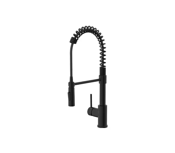 Spring Kitchen Faucet with Pull-Down Sprayer in Black