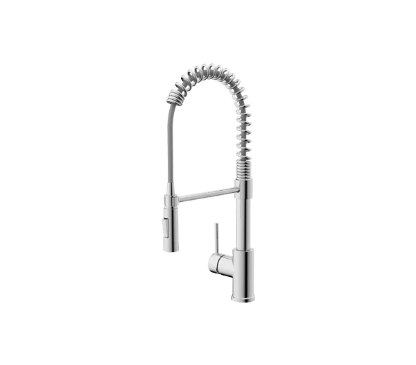 Spring Kitchen Faucet with Pull-Down Sprayer in Chrome